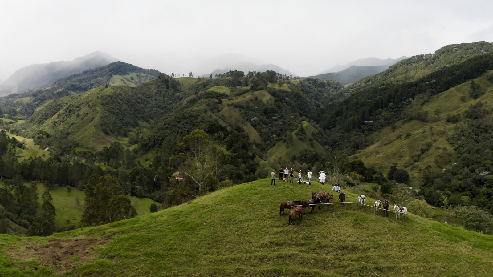 Grateful Giraffes Stem Cell Retreat · Colombia
